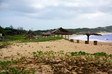 Beach in Mozambique clipart