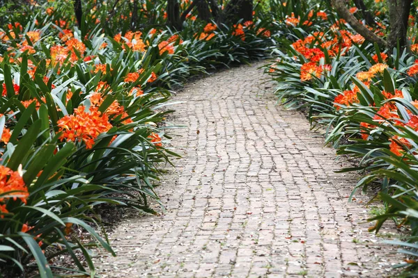 stock image Colourful Pathway