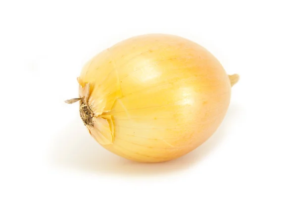 Whole Onion on white — Stock Photo, Image