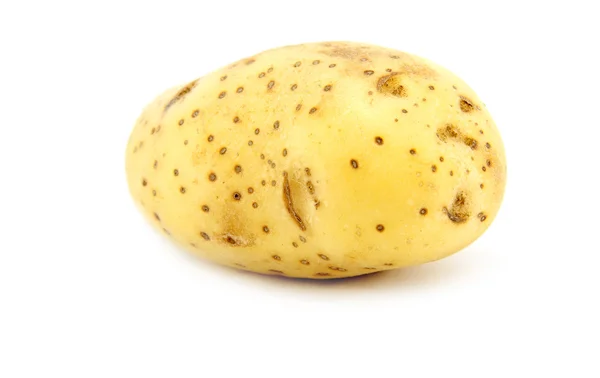 Картопля на білому — стокове фото