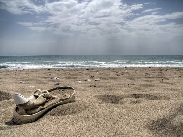 stock image Beach