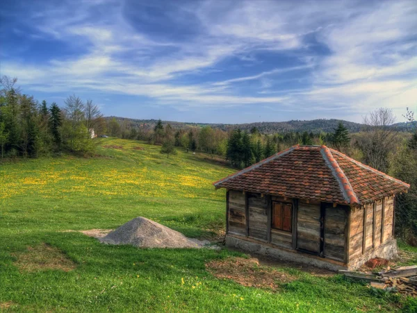 stock image Lawn in spring