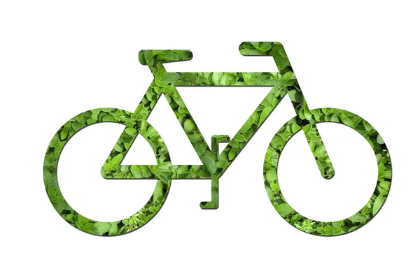 Ökologisches Fahrrad — Stockfoto