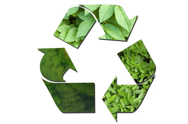 Grünes ökologisches Recyclingschild Stockbild