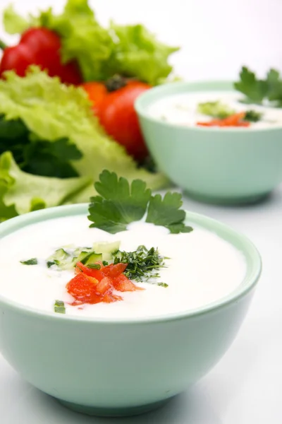 Sopa de yogur con verduras — Foto de Stock