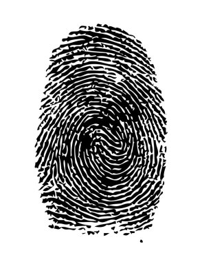 Fingerprint / vector clipart