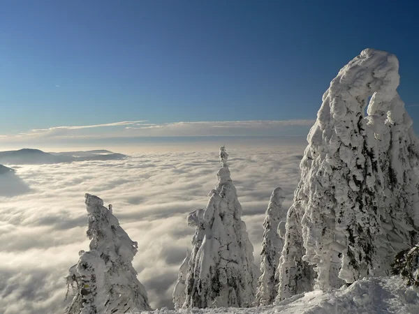 stock image Winter inversion