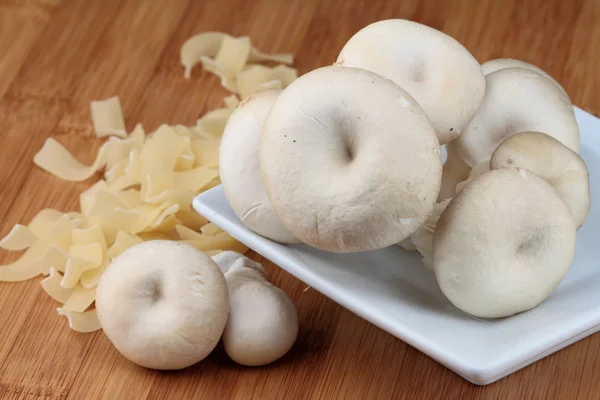 Funghi delle ostriche — Foto Stock
