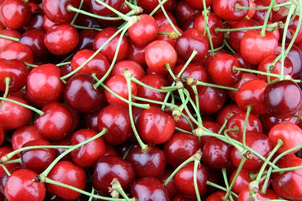 stock image Cherries