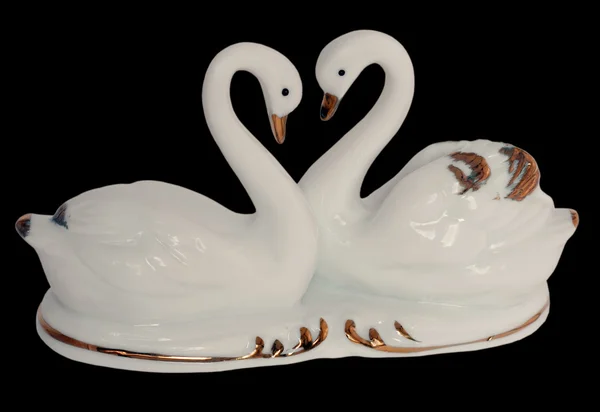 Два лебеді білі — стокове фото