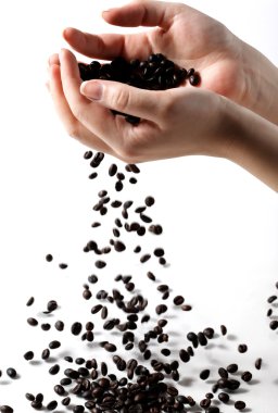 Hands dropping coffe beans clipart