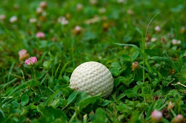 Piłeczki do golfa — Zdjęcie stockowe