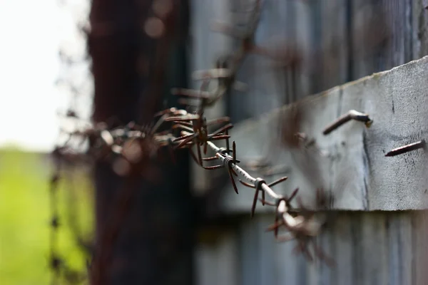 Barbed wire old — Stock Photo, Image