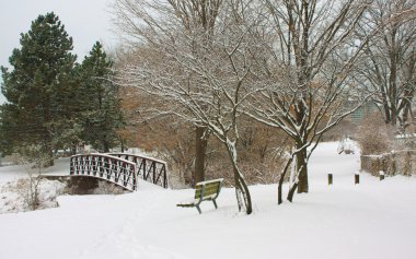 erken sabah sakin park