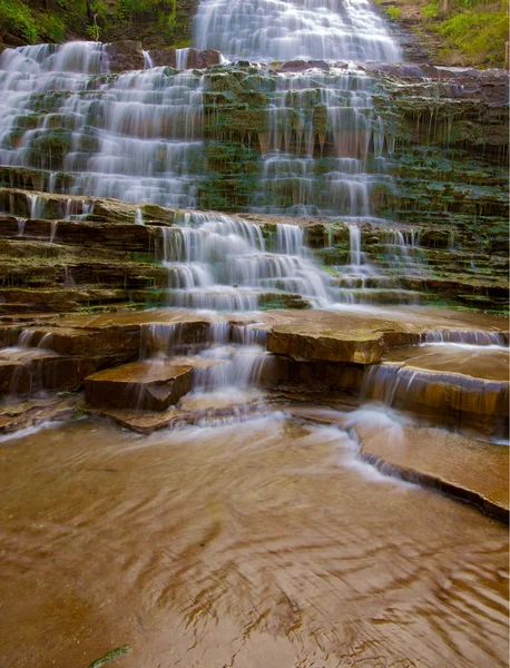 Albion cascade vízesés — Stock Fotó
