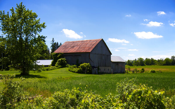Rural Ontario countryside