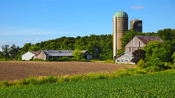 Klassische ländliche Landschaft in Ontario — Stockfoto