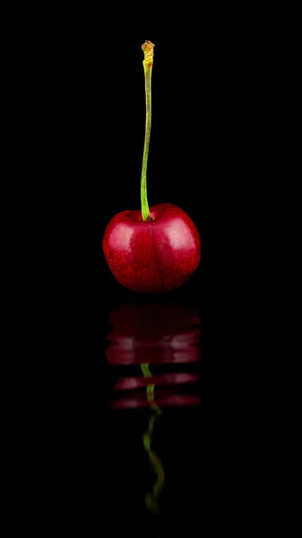 Solitérní cherry — Stock fotografie