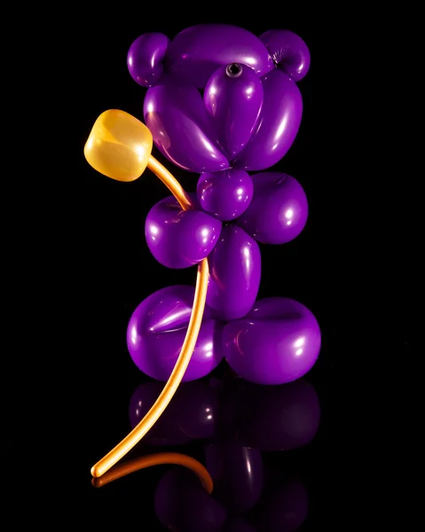 Mor balon ayı çiçek