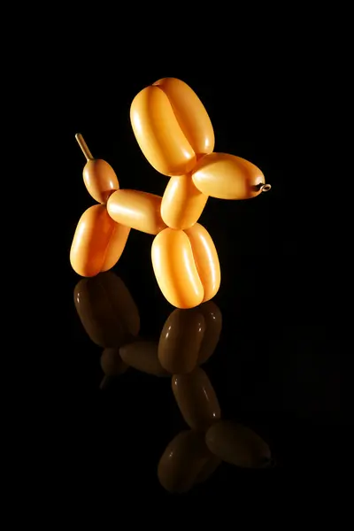 stock image Balloon Dog