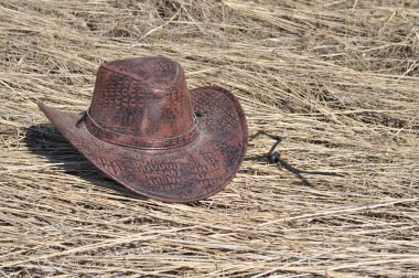 kovboy tarzı, stetson