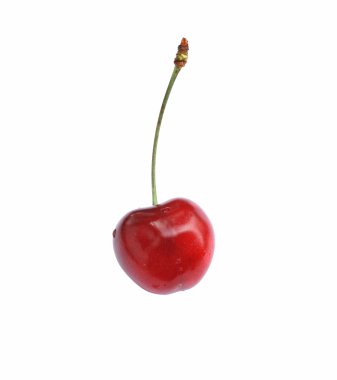 Single cherry clipart