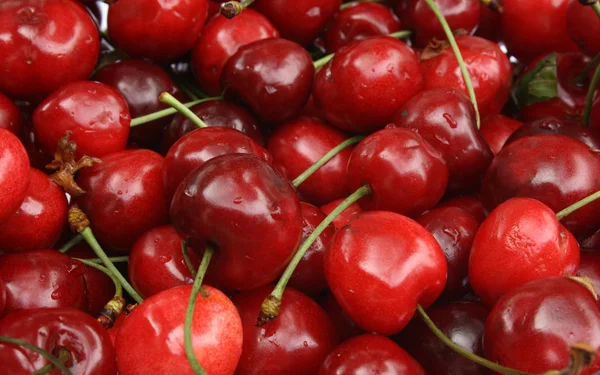 stock image Sweet cherry background