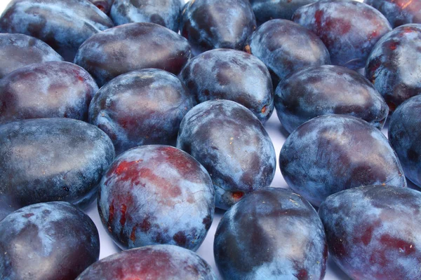 Group of purple plums close up — Stock Photo, Image