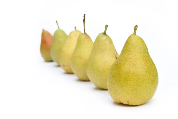 Many yellow pears in row — Stock Photo, Image