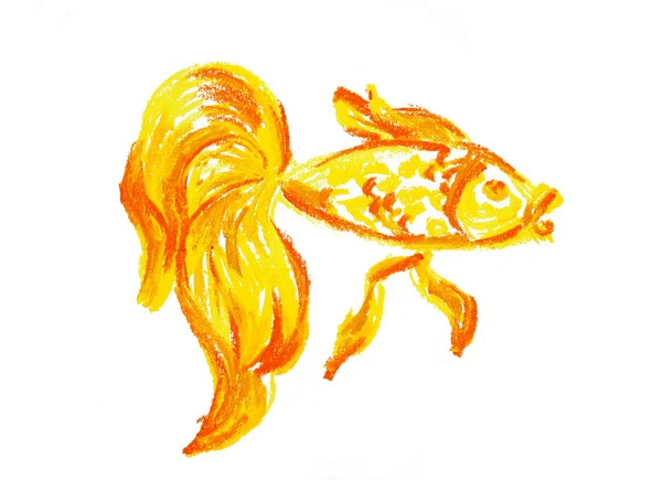 Gold fish drawing isolated — Stock Photo, Image