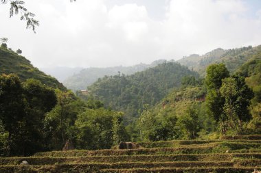 Nepal