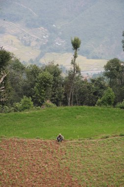 Nepal