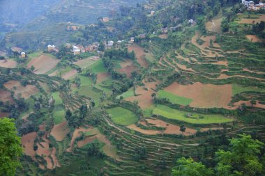 Nepal