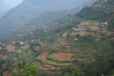 Nepal