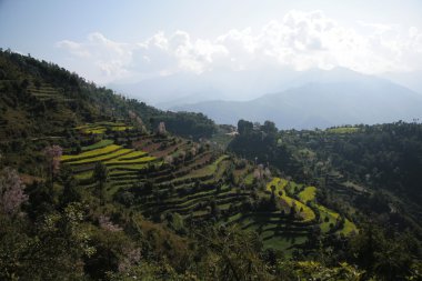 Nepal