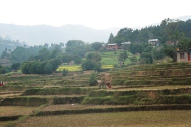 Nepal