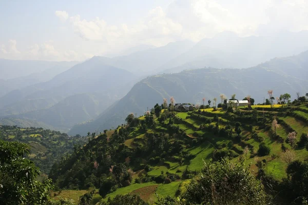 stock image Nepal