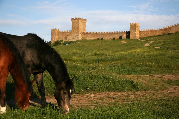 stock image Crimean spaces