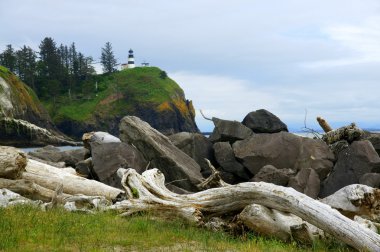 Driftwood View of Cape Disappointment clipart