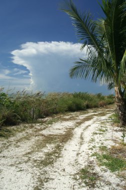 Mushroom-Shaped Cloud Over Sanibel clipart