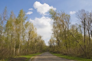 Forest Road