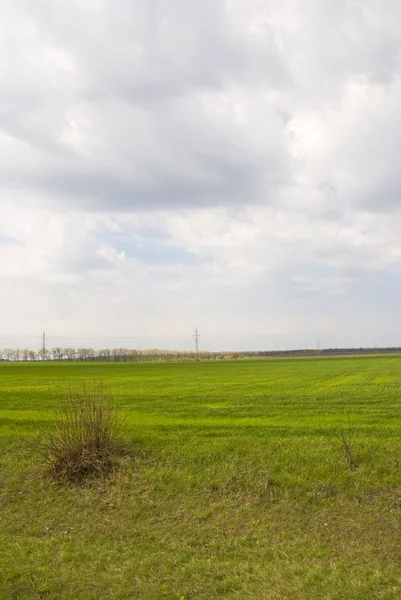 stock image Green field with cloudy skies