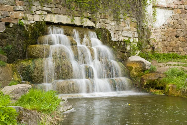 Водопад в парке Стоковое Изображение