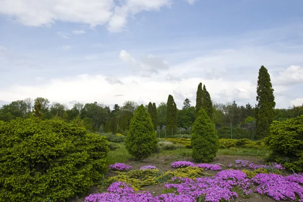 Весна парк с цветами Стоковое Фото
