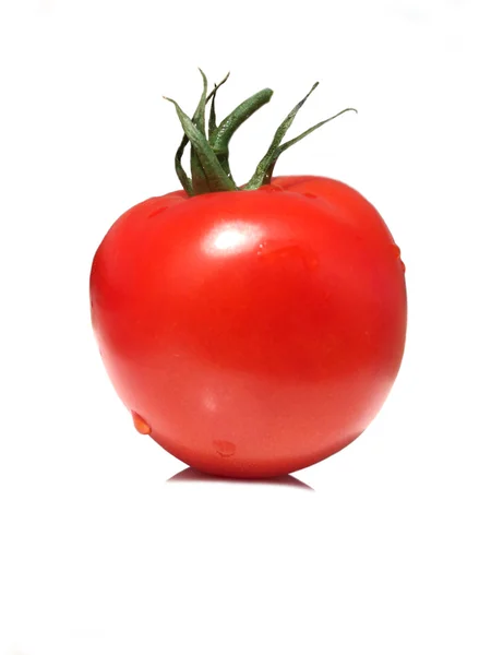 stock image Tomato