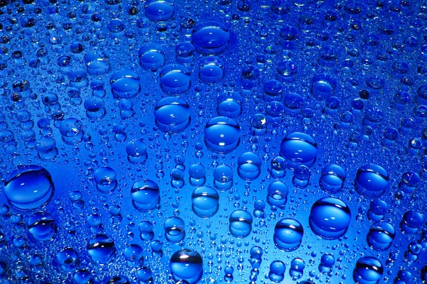 Niebieski kropli — Zdjęcie stockowe