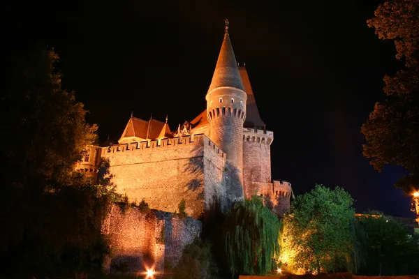 Castillo de Corvin en la noche Imagen De Stock