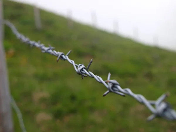 stock image Barbed wire