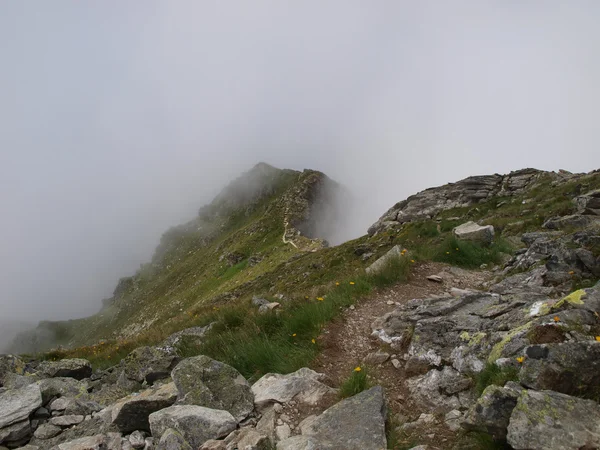 Wanderberg bei schlechtem Wetter, im Nebel — Stockfoto