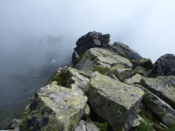 Trail mountain during bad weather, in fog — Stock Photo, Image